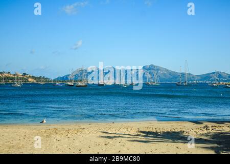 Ruhiger Hafen mit Booten in Port de Pollenca, Mallorca, Spanien Stockfoto