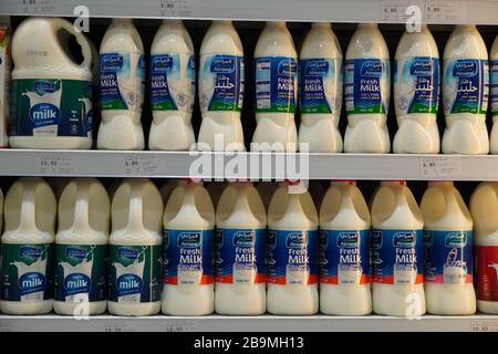 Dubai VAE Dezember 2019 Milchflaschen in Regalen zum Verkauf angeboten. Verschiedene Größen. Auch aromatisierte Milch Erdbeermilch, Kamelmilch, Kokosnuss m Stockfoto