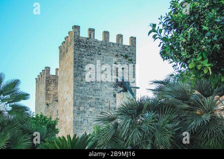 Tor der Stadtmauer in Alcudia, Mallorca, Spanien Stockfoto