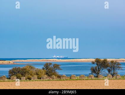 Betonklötze an der Flussmündungsküste des Tyne River mit Ineos-Schiff am Horizont, John Muir Country Park, East Lothian, Schottland, Großbritannien Stockfoto