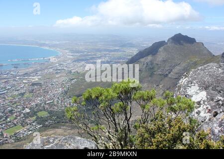 Tafelberg, Kapstadt Stockfoto