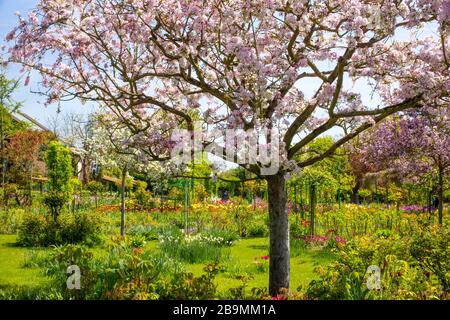 Monets Garten in Giverny, Normandie, Frankreich Stockfoto