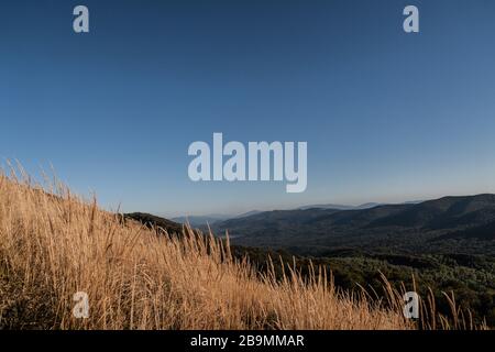 Blick von Carynska Polonyna im Bieszczady-Gebirge in Polen Stockfoto