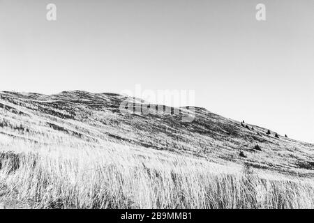 Blick von Carynska Polonyna im Bieszczady-Gebirge in Polen Stockfoto