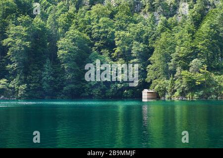 Ein Cottage versteckt unter Bäumen am Ufer eines grünen Sees. Stockfoto