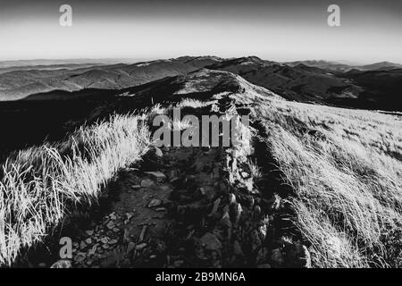 Blick von Carynska Polonyna im Bieszczady-Gebirge in Polen Stockfoto