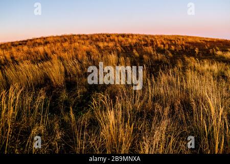 Blick von Carynska Polonyna im Bieszczady-Gebirge in Polen Stockfoto