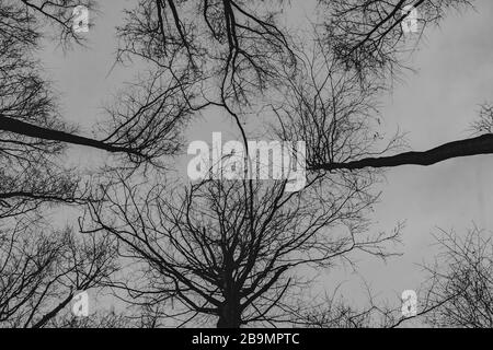 Dwernik im Bieszczady Gebirge in Polen Stockfoto