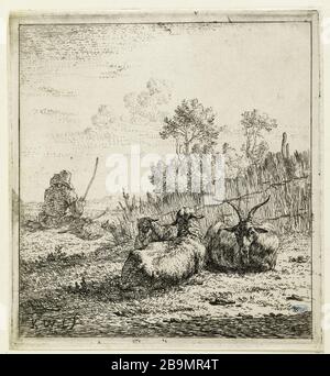 Der Ziegenbock und zwei Schaf (Dutuit 7) Karel Dujardin (1622-78). La chèvre et les deux moutons (Dutuit 7). Eau-forte, 1653. Musée des Beaux-Arts de la Ville de Paris, Petit Palais. Stockfoto