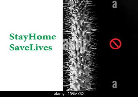 Green Stay Home Save lebt Wörter auf weißem Hintergrund und Symbol des Virus auf schwarzem Hintergrund. Bleiben Sie zu Hause, bleiben Sie Live Konzept Stockfoto