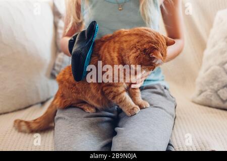 Putzende Katze mit Handschuh, um die Haare von Haustieren zu entfernen. Frau, die sich um die Tierkämmerei zu Hause mit Handgummihandschuh kümmert Stockfoto