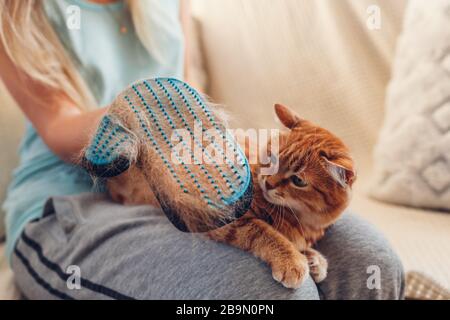 Putzende Katze mit Handschuh, um die Haare von Haustieren zu entfernen. Frau, die sich um die Tierkämmerei zu Hause mit Handgummihandschuh kümmert Stockfoto