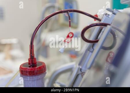 Dialyzer mit oberem Anschluss, an Backgroud-Dialysegerät auf der Intensivstation im Krankenhaus Stockfoto