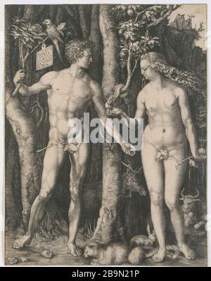 ADAM ET EVE Albrecht Dürer (1471-1528). "Adam et Eve". Tiefdruck, XVIème siècle, B 1. Musée des Beaux-Arts de la Ville de Paris, Petit Palais. Stockfoto