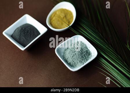 Schwarzer, gelber, grauer Ton in einer weißen Porzellanschüssel auf braunem Grund mit Palmblatt. Naturkosmetik für Heim- oder Salon-Spa-Behandlungen, Kopierer. Stockfoto