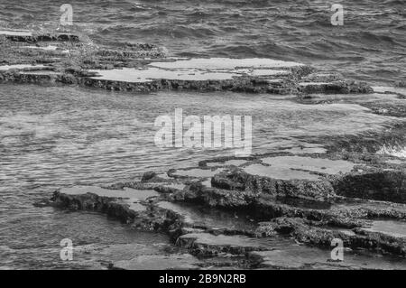 Mapu'a 'a Vaea Blowholes Stockfoto