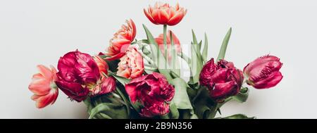 Schöner Bund aus Tulpen im Pony- und Papageienstil in den Händen auf dem hellen Hintergrund, Frühlingsferienkonzept, Kopierraum, Bannergröße Stockfoto