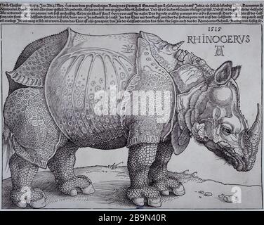 Rhino Bartsch 136 Albrecht Dürer (1471-1528). "Le Rhinocéros Bartsch 136; 2eme édition". Tiefdruck sur bois, 1515. Musée des Beaux-Arts de la Ville de Paris, Petit Palais. Stockfoto