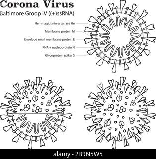 Diagramm der Partikelstruktur Coronavirus 2019-NC0V. Pandemic COVID-19-Mikrobe mit Ausbruch. Das Virus greift die Atemwege an, Infektionen medizinisches Gesundheitsrisiko. Flacher, einfacher Cartoon-Stil Stock Vektor