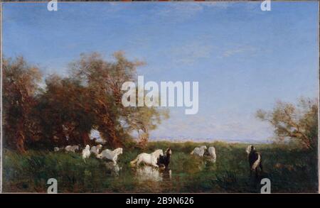 Wildpferde in der Camargue Félix Ziem (1821-1911). "Chevaux sauvages en Camargue". Huile sur toile, vers 1870. Musée des Beaux-Arts de la Ville de Paris, Petit Palais. Stockfoto