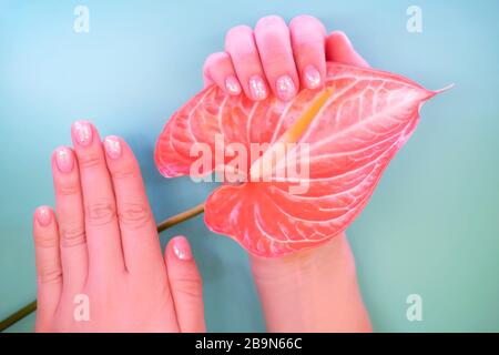 Anthuriumblume in weiblicher Hand mit stilvollem Maniküre auf blauem Hintergrund. Schönheitskonzept. Stockfoto