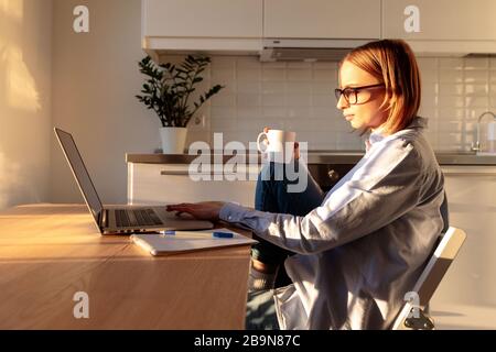 Junge Frau Freiberuflerin in Brille mit Laptop, kommuniziert im Internet mit dem Kunden im sonnigen weißen Wohnzimmer, hält Kaffee/Teebecher. Gemütliches Büro wo Stockfoto