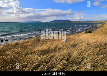 Blick auf den Golf von Admiral Montt, Puerto Natales, Patagonien, Chile, Südamerika Stockfoto