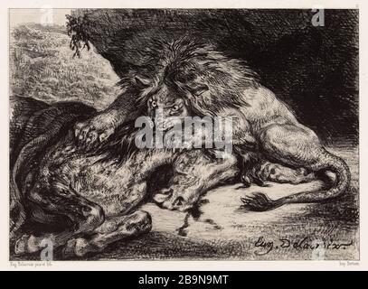 Löwe verschlingt ein Pferd (IFF 79) Eugène Delacroix (1798-1863). Lion dévorant un cheval (IFF 79). Lithographie. 1844. Musée des Beaux-Arts de la Ville de Paris, Petit Palais. Stockfoto