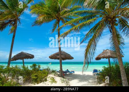 Beach Cayo Guillermo, Ciego de Ávila, Kuba Stockfoto