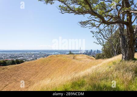 Auckland CBD vom Gipfel Mount Eden (Maungawhau), Mount Eden, Auckland, Neuseeland Stockfoto