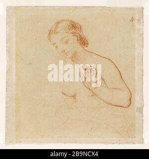 Büste der Frau Narcisse Diaz de la Pena (1807-1876). Buste de femme. Sanguine sur Papier. Musée des Beaux-Arts de la Ville de Paris, Petit Palais. Stockfoto