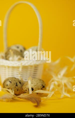 Weißer Korbkorb mit Strohhalm, Wachteleiern und Federn auf gelbem Hintergrund. Das Konzept der Osterfeiertage. Osterkarte.Nahaufnahme. Stockfoto