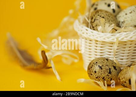 Weißer Korbkorb mit Strohhalm, Wachteleiern und Federn auf gelbem Hintergrund. Das Konzept der Osterfeiertage. Osterkarte.Nahaufnahme. Stockfoto