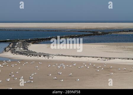 Geschliffene Gleisanlagen am Kraftwerk Minsener Oog, Nationalpark Niedersachsen-Wattenmeer, Niedersachsen, Deutschland Stockfoto