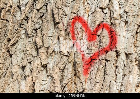 Rotes Herz auf Baumrinde gemalt Stockfoto