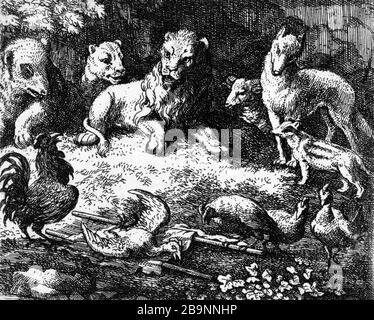 ILLUSTRATION FÜR ROMAN RENART: 1650/1655 ZU: 5-LE COQ BESCHULDIGT VOR DEM LÖWEN, DER FUCHS DEN MORD AN SESPOULES ALLAERT VAN EVERDINGEN (1621-1675). Illustrationen für "Roman de Renart" : vers 1650-1655 : 5- "Le coq accuse, devant le Lion, le renard du meurtre d'une de ses poules". manière noire. Musée des Beaux-Arts de la Ville de Paris, Petit Palais. Stockfoto