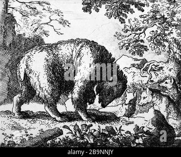 ILLUSTRATION FÜR ROMAN RENART: 1650/1655 ZU: 9-FOX VERSPRICHT, DAS FAHREN IN EINEM GEBIET ZU TRAGEN, IN DEM ES VIEL HONIG ALLAERT VAN EVERDINGEN (1621-1675) FINDEN WIRD. Illustrationen für "Roman de Renart" : vers 1650-1655 : 9- "Le renard promet à l'ours de le Conduire dans un endroit où il trouvera beaucoup de miel". Eau-forte. Musée des Beaux-Arts de la Ville de Paris, Petit Palais. Stockfoto