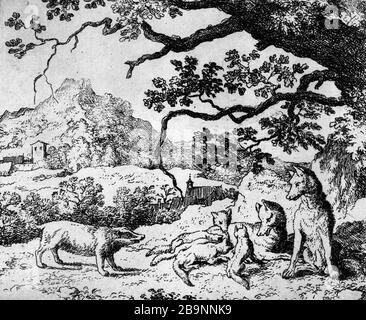 ILLUSTRATION FÜR ROMAN RENART: 1650/1655 ZU: 17- FOX ERHÄLT NEUES ZITAT VON BADGER ALLAERT VAN EVERDINGEN (1621-1675). Illustrationen für "Roman de Renart" : vers 1650-1655 : 17- "Le renard reçoit une nouvelle citation par le blaireau". Eau-forte. Musée des Beaux-Arts de la Ville de Paris, Petit Palais. Stockfoto