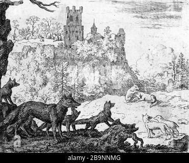 ILLUSTRATION FÜR ROMAN RENART: 1650/1655 AN: THE FOX 18- SHARE WITH BADGER. WEIBLICH UND WERDEN AUF RENARDEUX EMINENCE Allaert van Everdingen (1621-1675) gelassen. Illustrationen für 'Roman de Renart' : vers 1650-1655 : 18- 'Le renard part avec le blaireau. La femelle et les renardeaux sont à gauche sur une éminence'. Eau-forte. Musée des Beaux-Arts de la Ville de Paris, Petit Palais. Stockfoto