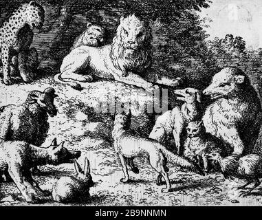 ILLUSTRATION FÜR ROMAN RENART: 1650/1655 ZU: 23-FOX, KOMMEN VOR DEM LÖWEN WIRD VON DEN TIEREN ALLAERT VAN EVERDINGEN (1621-1675) ANGEKLAGT. Illustrationen für 'Roman de Renart' : vers 1650-1655 : 23- 'Le renard, arrivé devant le lion, est accusé par les animaux'. Eau-forte. Musée des Beaux-Arts de la Ville de Paris, Petit Palais. Stockfoto