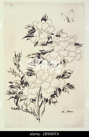 Platte 2: Große Blumen Félix Bracquemond (1833-1914). "Planche 2: Grandes fleurs". Eau forte sur japon vergé. Im Jahre 1866. Musée des Beaux-Arts de la Ville de Paris, Petit Palais. Stockfoto