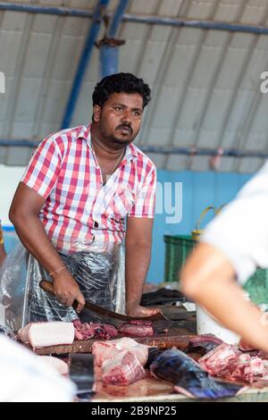 Anbieter auf dem Negombo-Fischmarkt in Sri Lanka Stockfoto