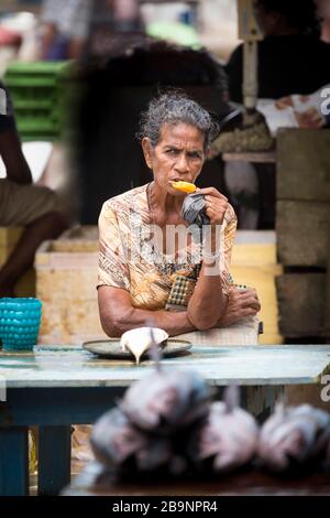 Frau, die sich mit einem Eisblock auf dem Negombo-Fish-Markt in Sri Lanka abkühlt Stockfoto