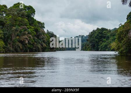 Bootsfahrt in die Kanäle von Tortuguero in Costa Rica Stockfoto