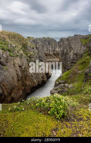 Blowhole View von der Walktrack in Pancake Rocks, Neuseeland. Punakaiki ist eine kleine Gemeinde an der Westküste der Südinsel Neuseelands Stockfoto