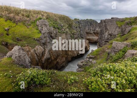 Blowhole View von der Walktrack in Pancake Rocks, Neuseeland. Punakaiki ist eine kleine Gemeinde an der Westküste der Südinsel Neuseelands Stockfoto