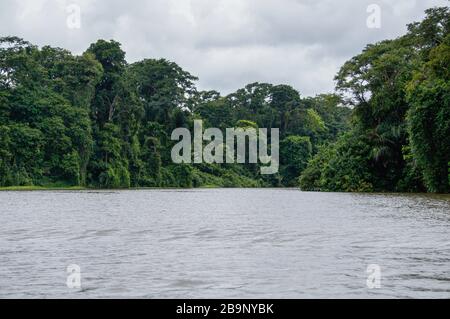 Bootsfahrt in die Kanäle von Tortuguero in Costa Rica Stockfoto