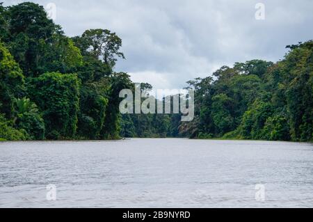 Bootsfahrt in die Kanäle von Tortuguero in Costa Rica Stockfoto