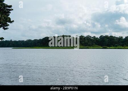 Bootsfahrt in die Kanäle von Tortuguero in Costa Rica Stockfoto