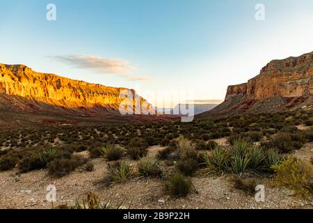 Havasupai indianerreservat - Arizona - USA Stockfoto